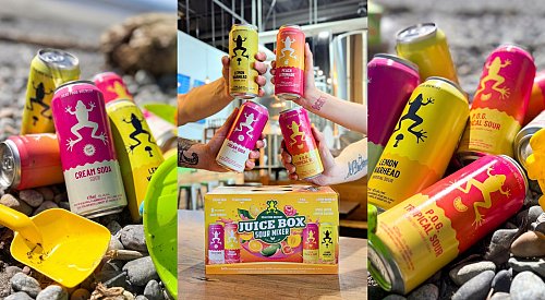 Beer column: What new fun flavours are in this year’s Juice Box Sour Mixer?